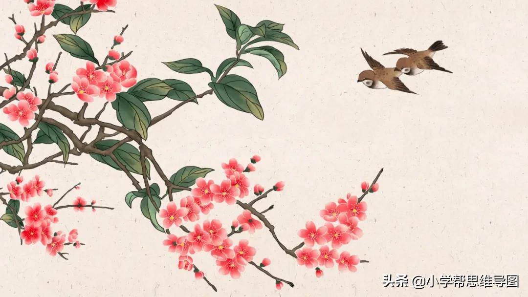 优秀作文《受伤的心》《小红帽读后感》《陪葬的*队军**--兵马俑》