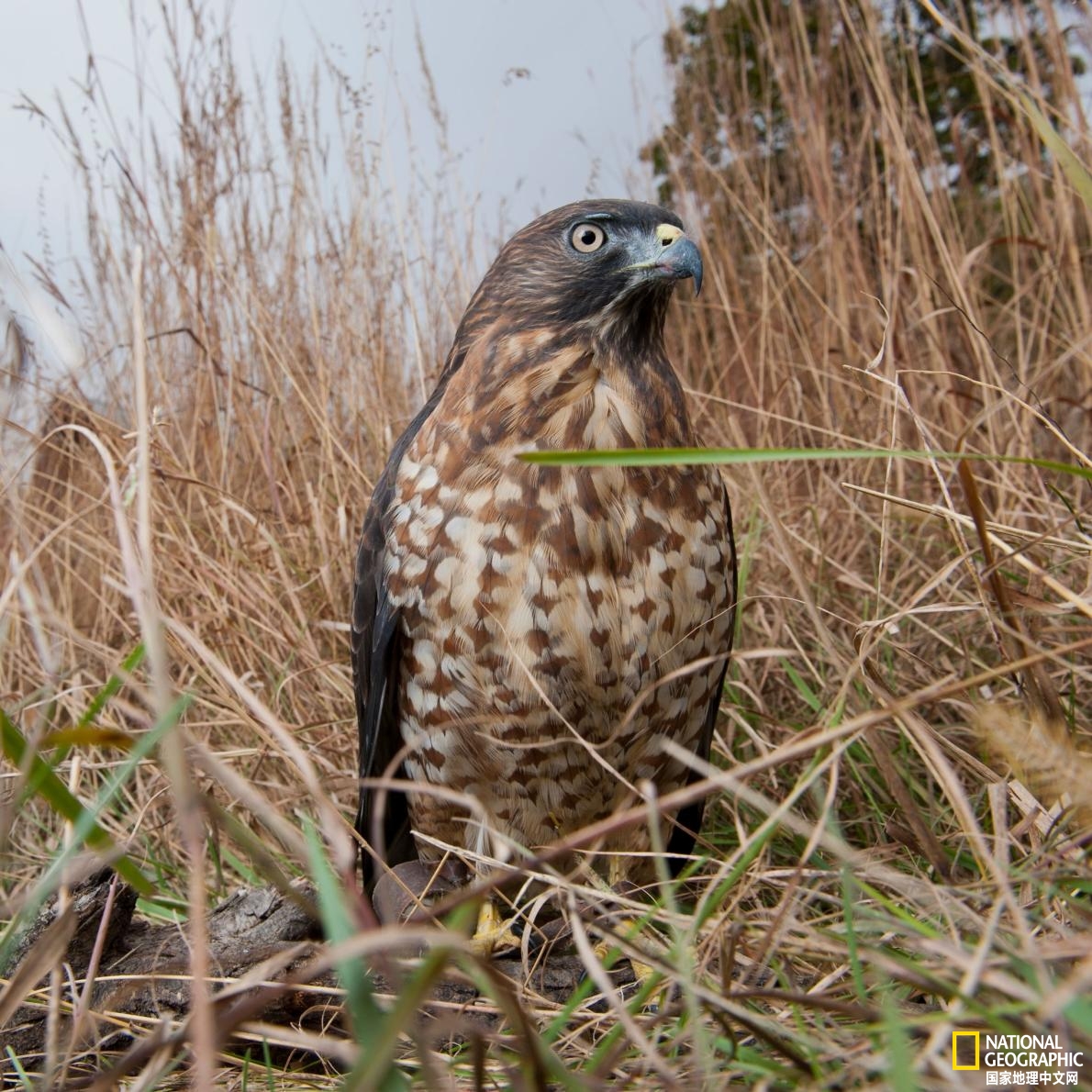 美国垃圾焚烧现状,美国垃圾焚烧厂
