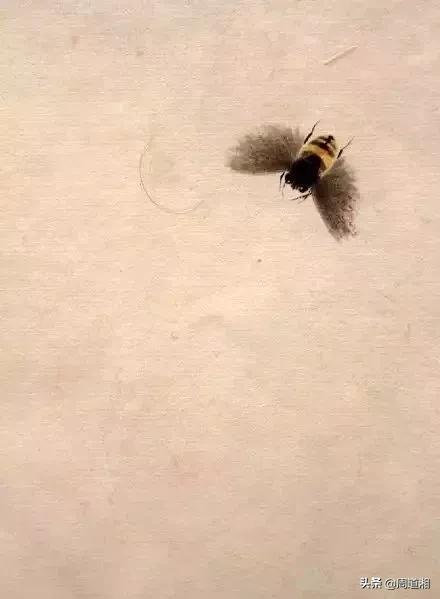 小蜜蜂怎么画最简单的方法,画小蜜蜂的教程一步一步的来