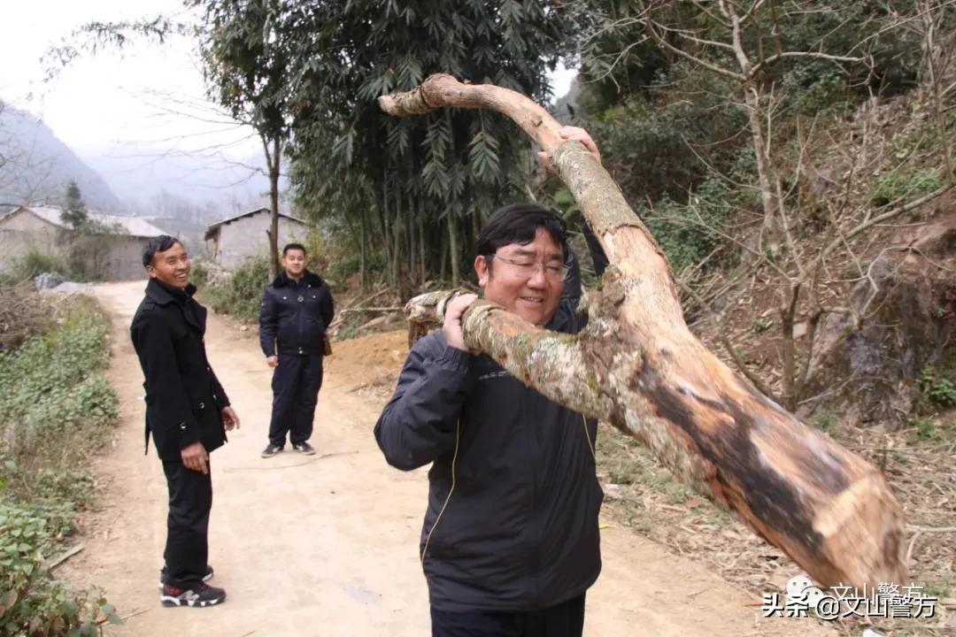 誓言无声生命作证——追记文山州森林公安局*党**委委员、纪委书记石宏