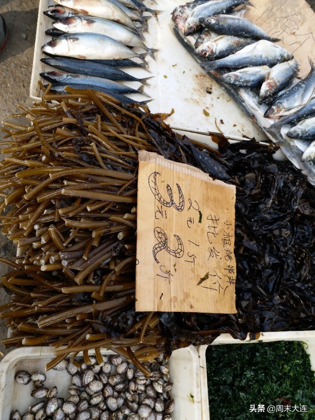 去马栏子大沟市场怎么走,马栏子海鲜市场和大沟早市