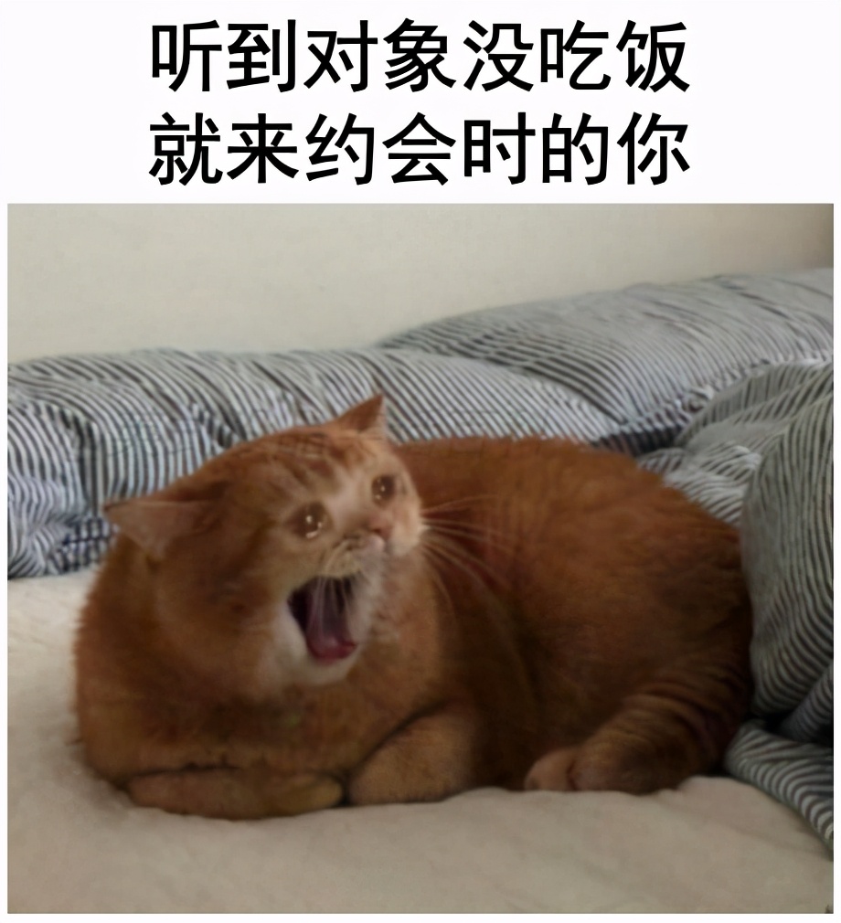 大学生没有钱的心酸,没钱了又借不到钱怎么办大学生