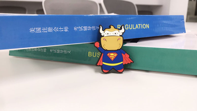 aicpa报考材料,aicpa报考哪个州比较好