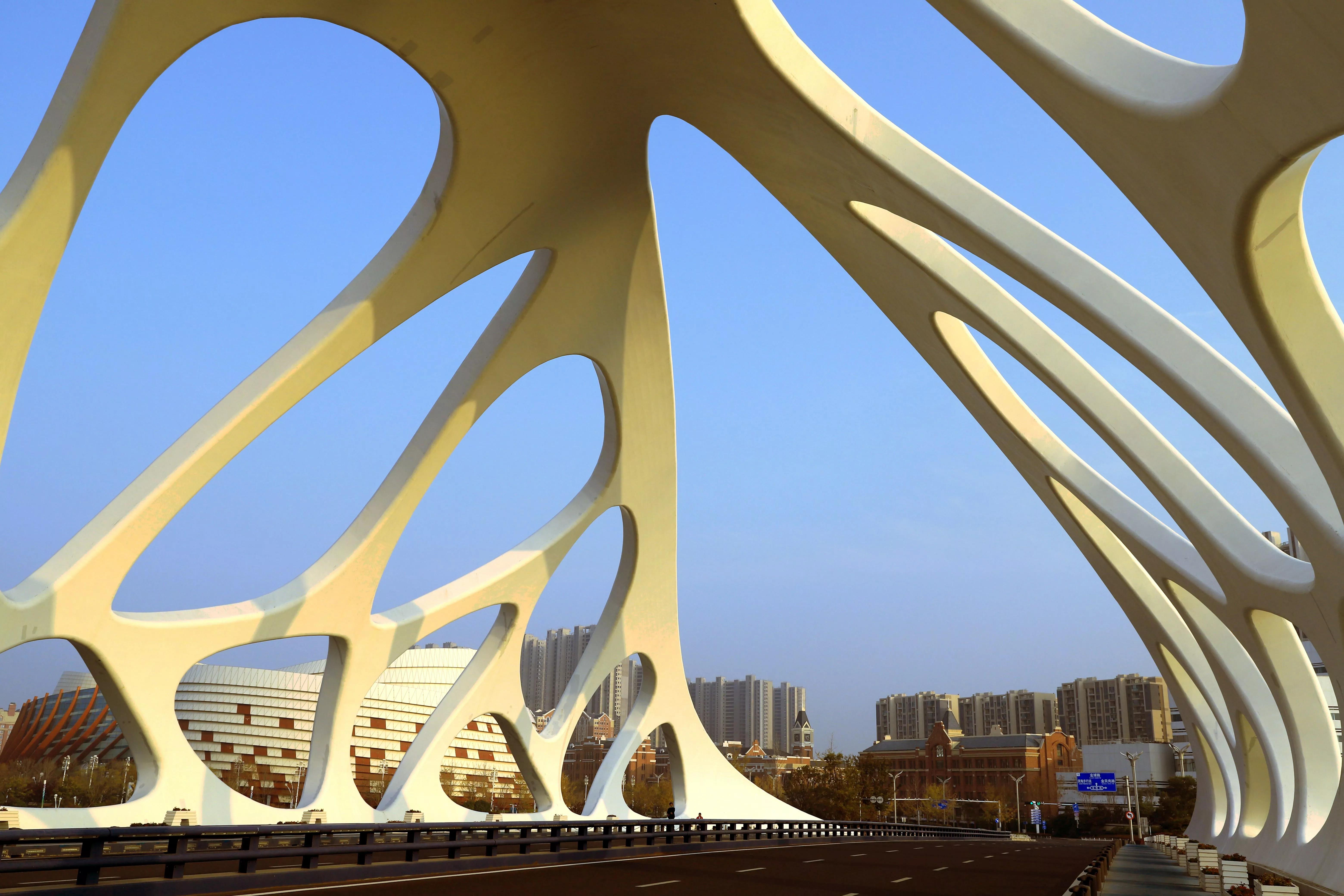 青岛星光岛和珊瑚贝桥,青岛星光岛珊瑚贝桥在哪