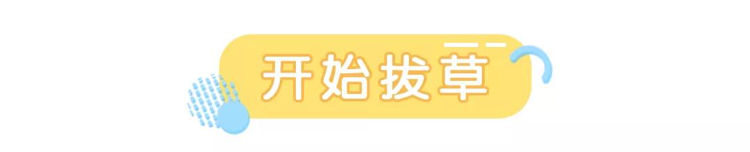 四款鸡肋的护肤品,帮大家拔草几款鸡肋护肤品