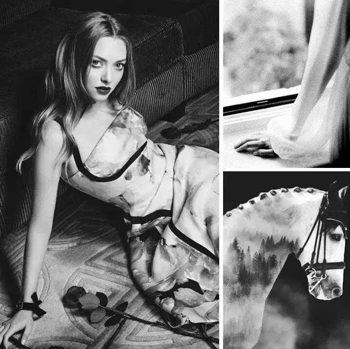 成都大树装饰简介,成都大树装饰装修套餐