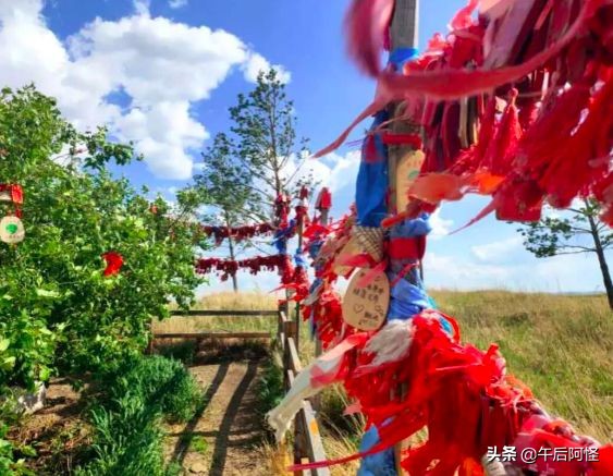 呼伦贝尔大草原旅游七天攻略预算,去呼伦贝尔可以自由行吗