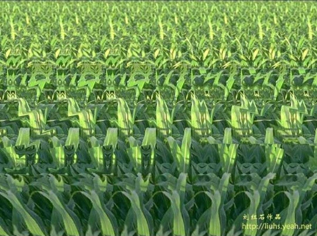 如何简单的学好3d图画,3d画是如何制作出来的