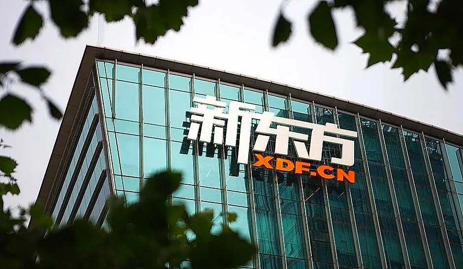 俞敏洪新东方走向,俞敏洪创业前景