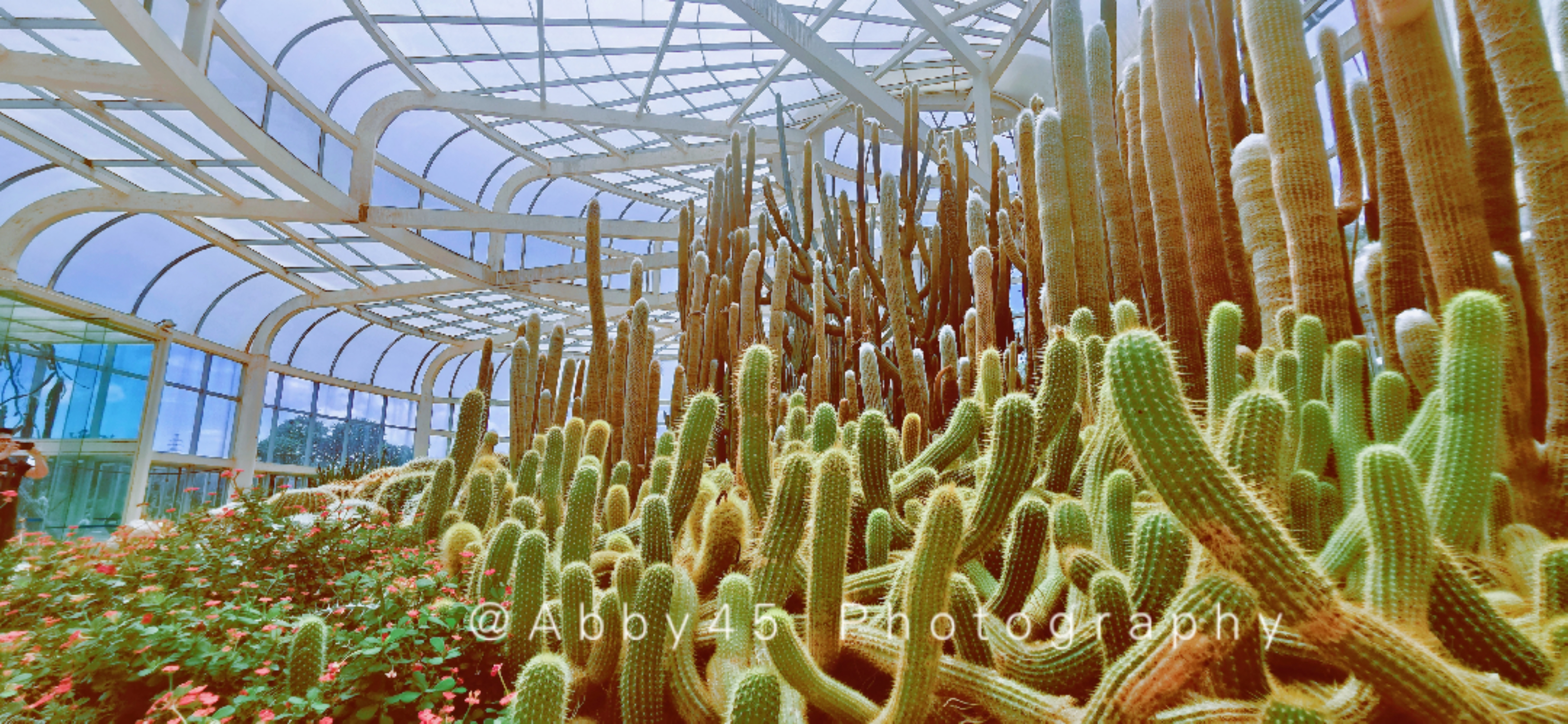 厦门旅游玩的地方排名榜前十位,厦门五一旅行景点排名前十大