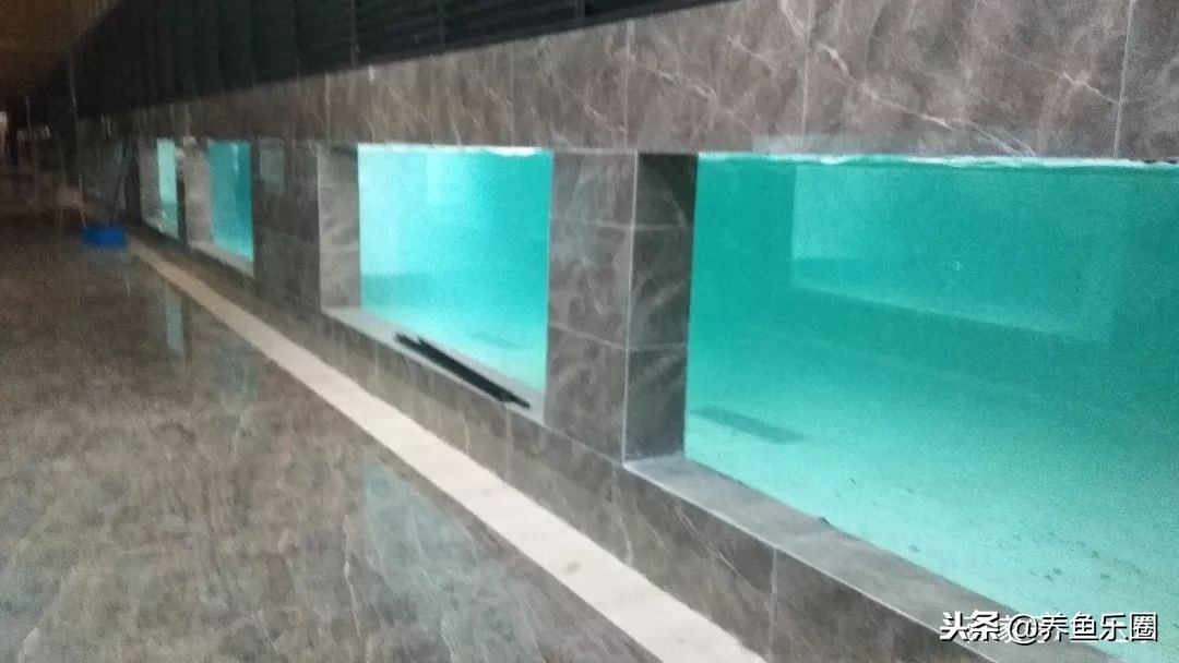 这位土豪家的渔场，光滤材就花了500多万，你确定不要见识一下？