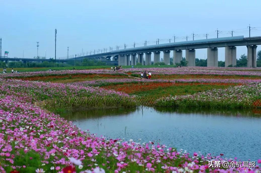 学校扩建,学校扩建项目效果图