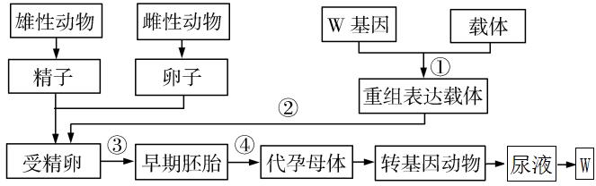 高中生物选修三胚胎工程的题,高中生物胚胎工程试题及答案