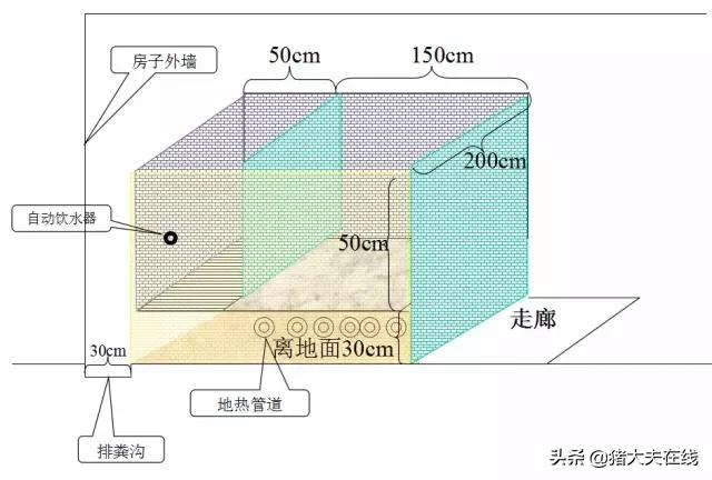 养猪猪舍设计建造,养猪最好的猪舍建造方法