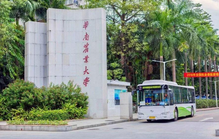 郑州大学最新排名榜,2019华中大学排名