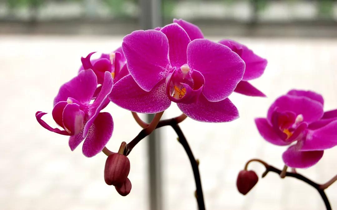 昆明最火网红打卡景点免费的,昆明最近的值得打卡的景点