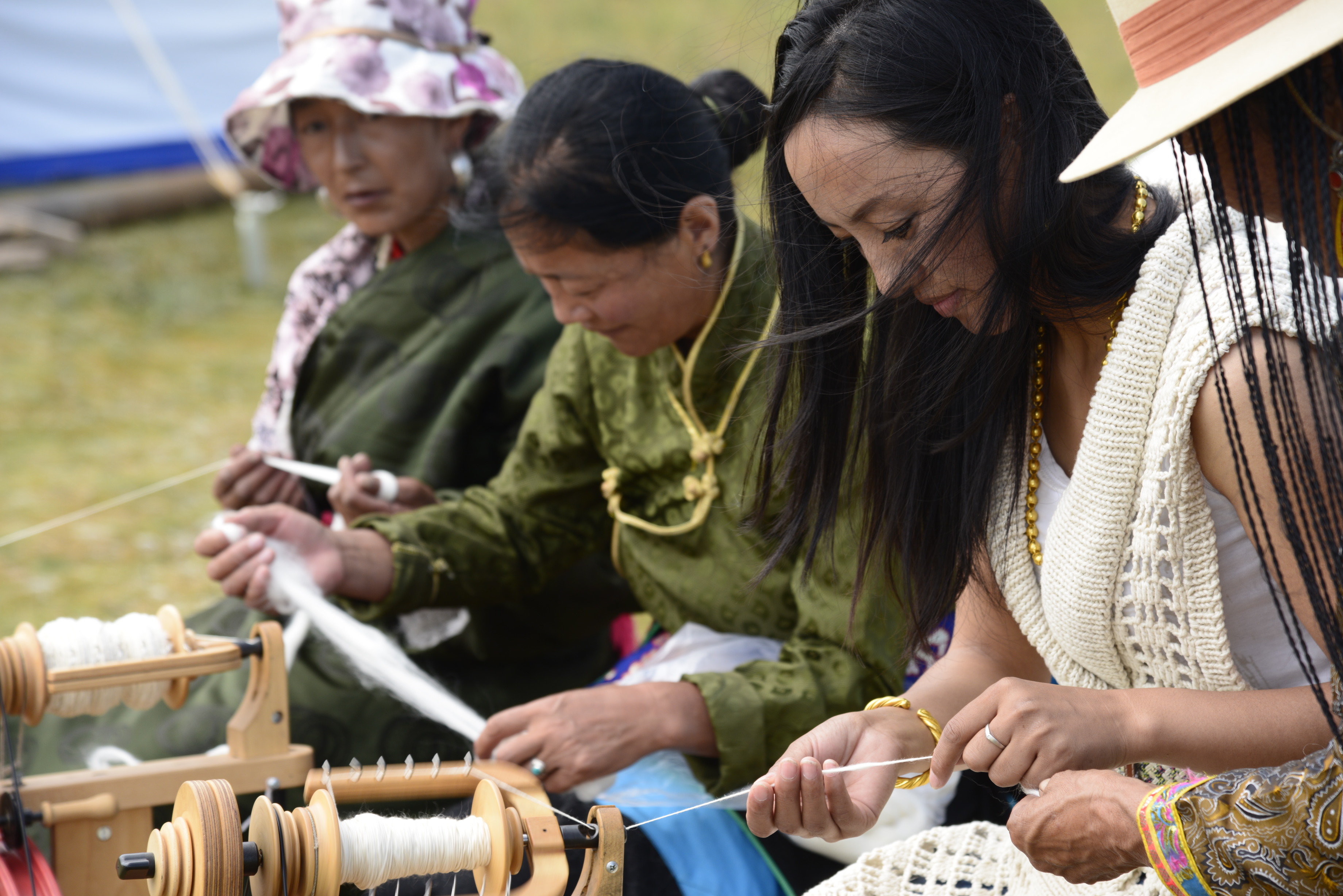 牦牛起源的演化过程,牦牛历史介绍