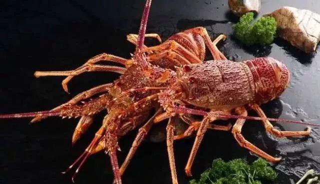 哪种海鲜的味道最鲜美,世界上最鲜美的海鲜