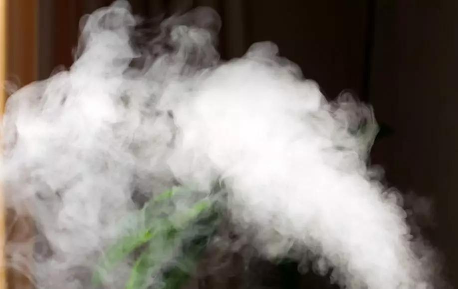 加湿器使用不当会得肺炎吗,加湿器使用不当比吸雾霾还可怕