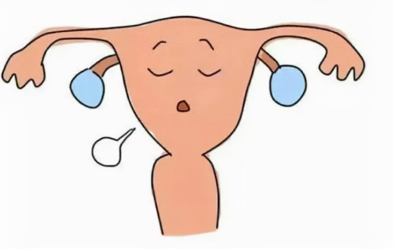 “石女”和正常女性有什么区别？她们能怀孕吗？