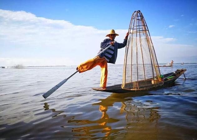 游客来到了缅甸菜市场，都是肉类但没有家禽，这是什么原因