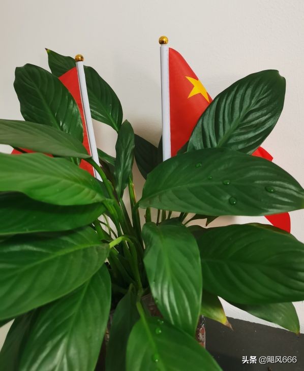 生命教育之殇～青少年自杀的思考