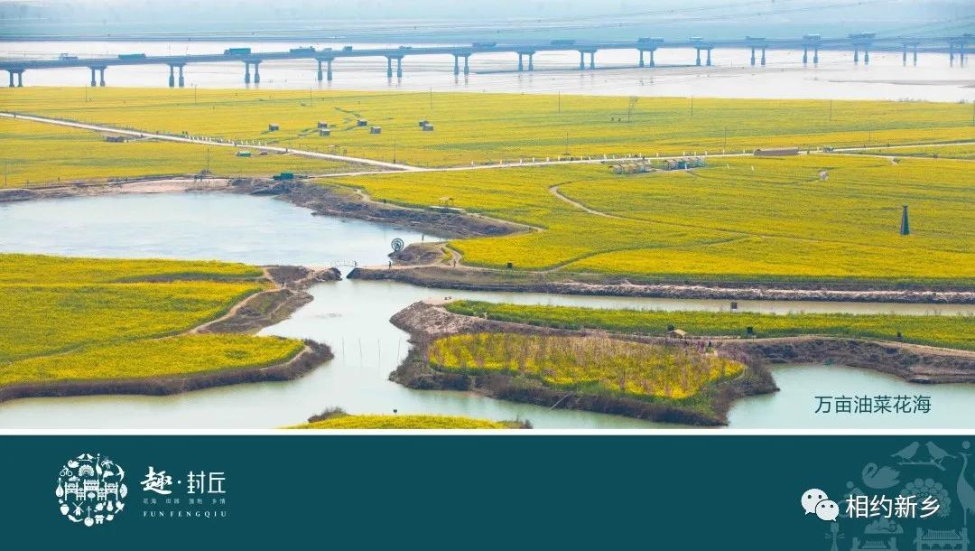 闻香识酒干红葡萄酒,闻香识艾草