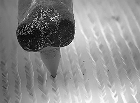 暑假孩子玩手机不如打篮球吧,儿童显微镜放大蚂蚁120倍