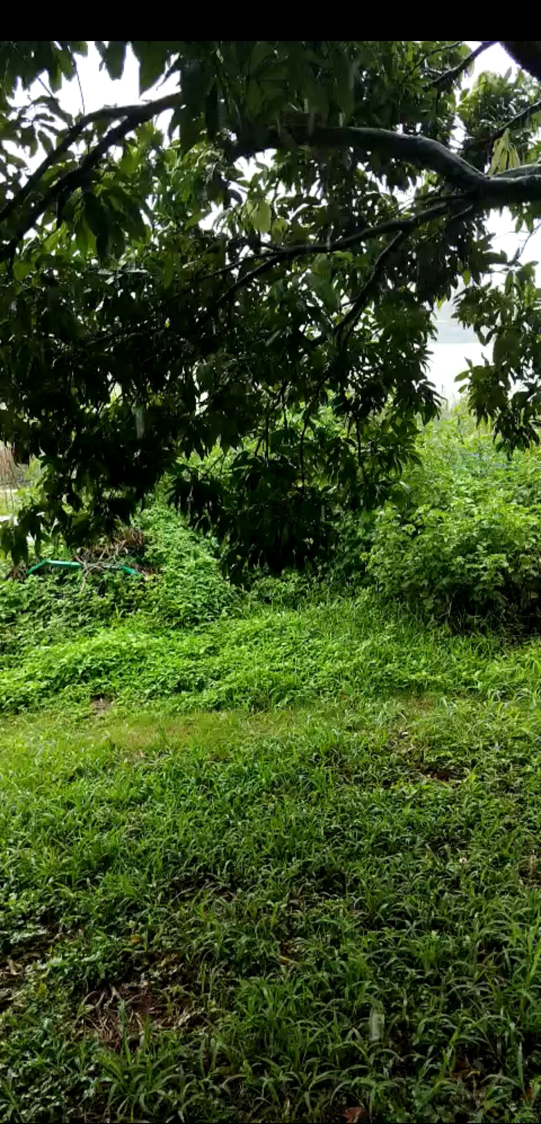 北漂回老家看父母的真实感受,北漂回家感慨