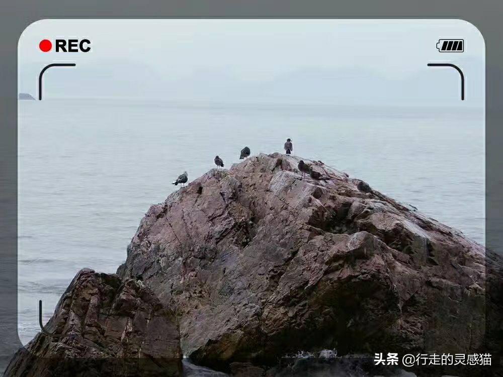 山东威海海驴岛攻略,山东海驴岛旅游攻略