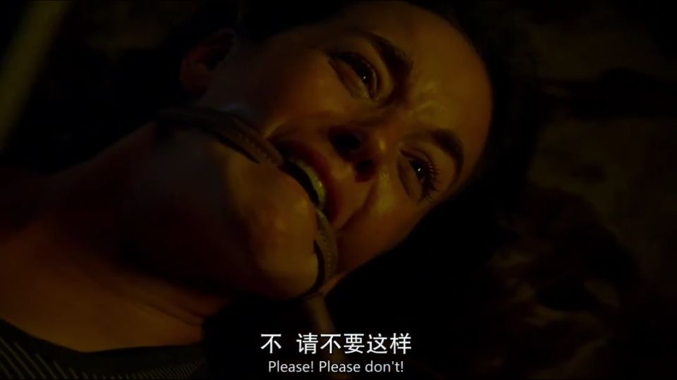 最变态杀人屠夫,杀人犯史蒂文