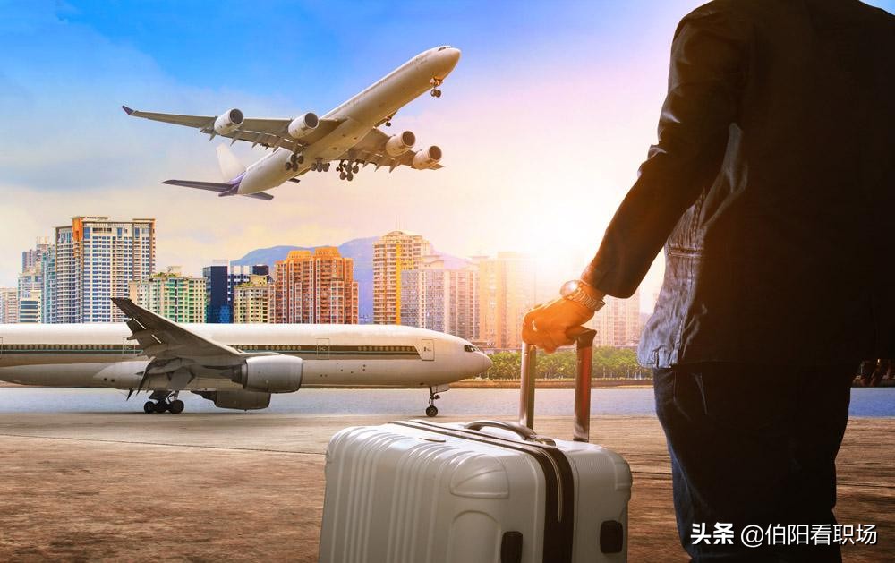 一只出差狗的日常,一只狗的自述经历