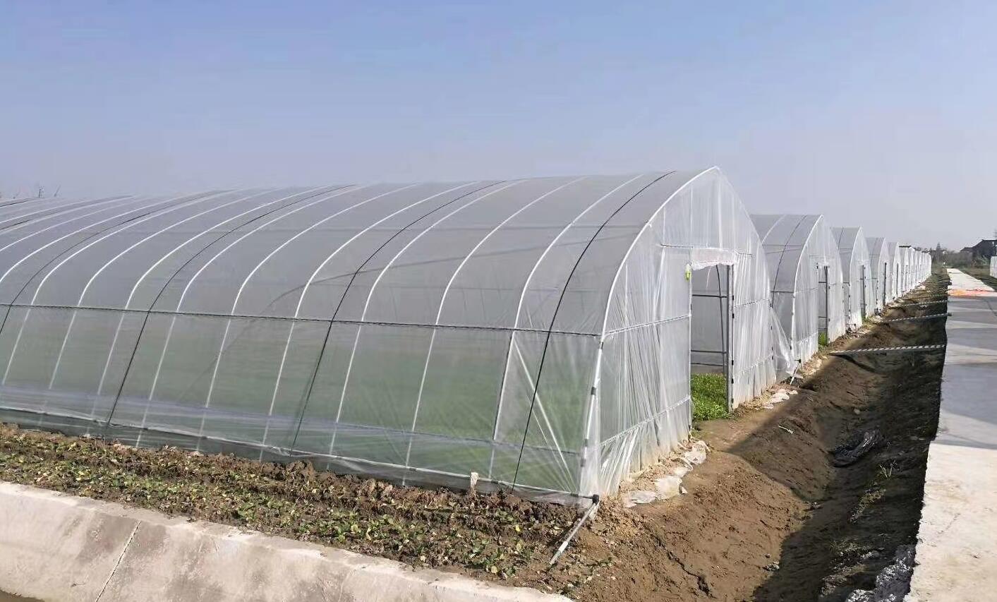 大棚建设的最新方法,大棚建设的各种方法