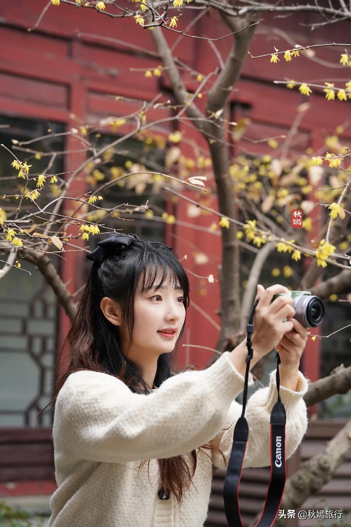 冬游常熟燕园赏蜡梅花,方桥头梅干菜扣肉饼5元一只,顾客盈门