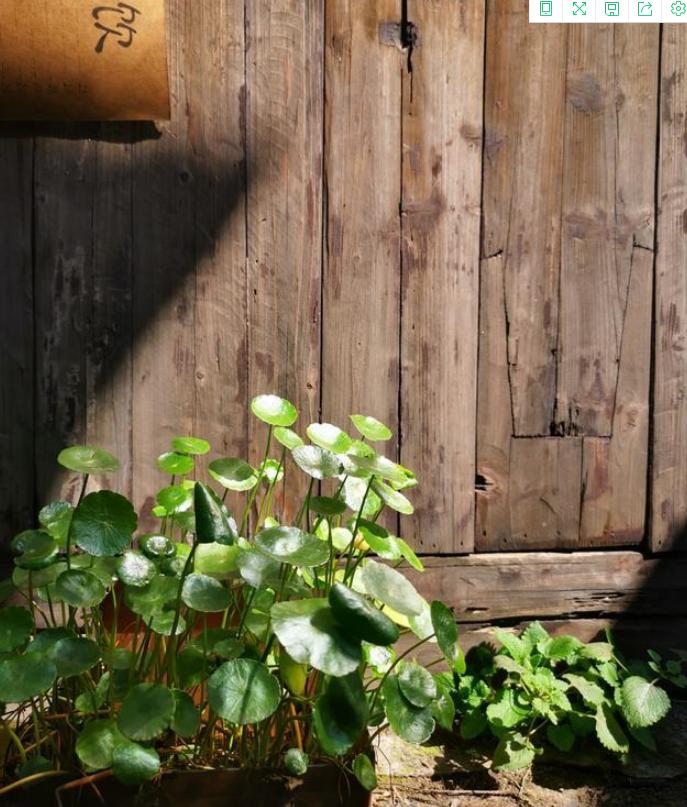 琚仐蹇樼殑杩愭渤鍙ら晣,琚腑鍥戒紶缁熸枃鍖栭仐蹇樼殑鍙ら晣