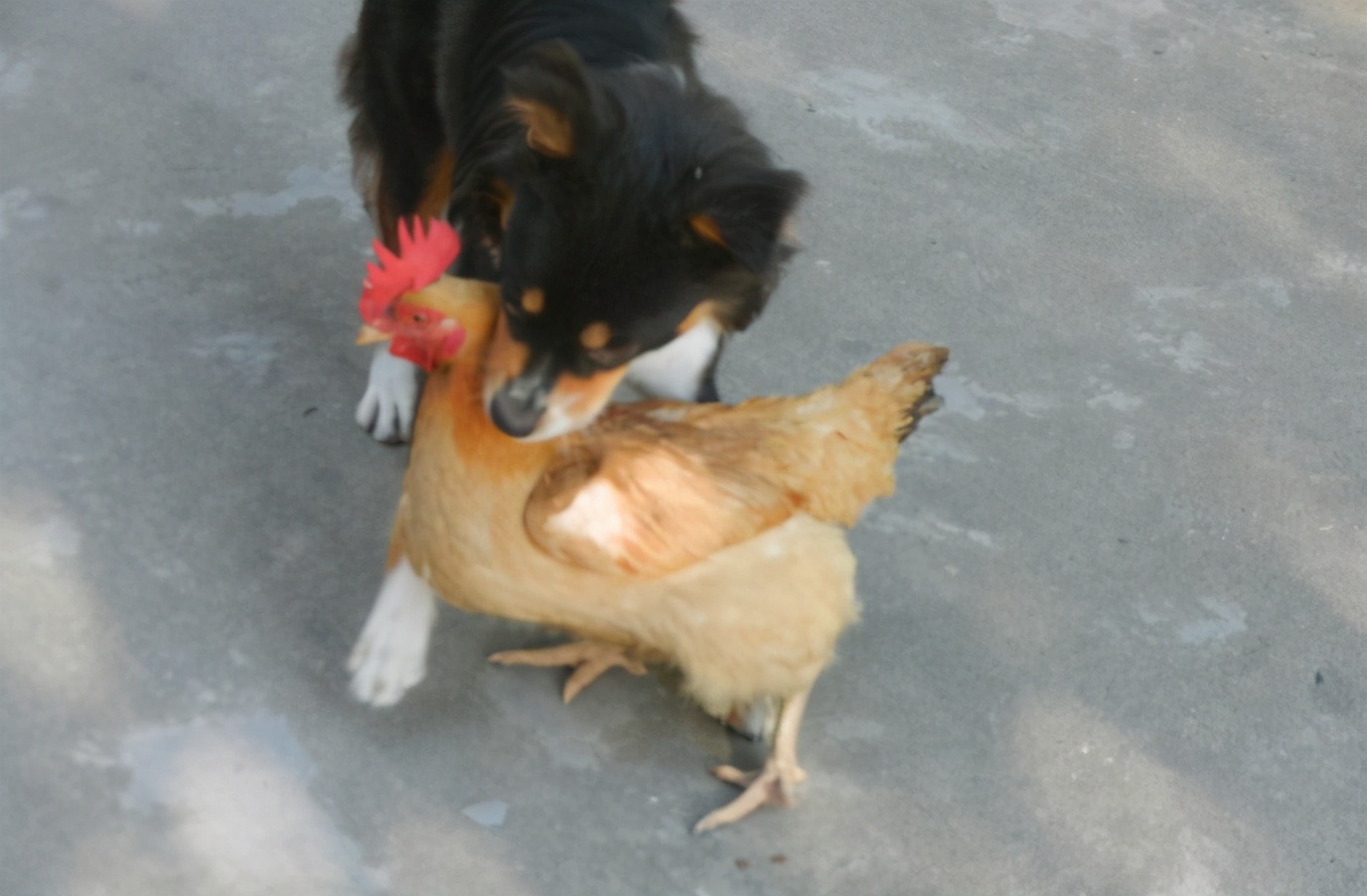 国外的奇葩法律冷知识,外国那些让人讨厌的奇葩法律