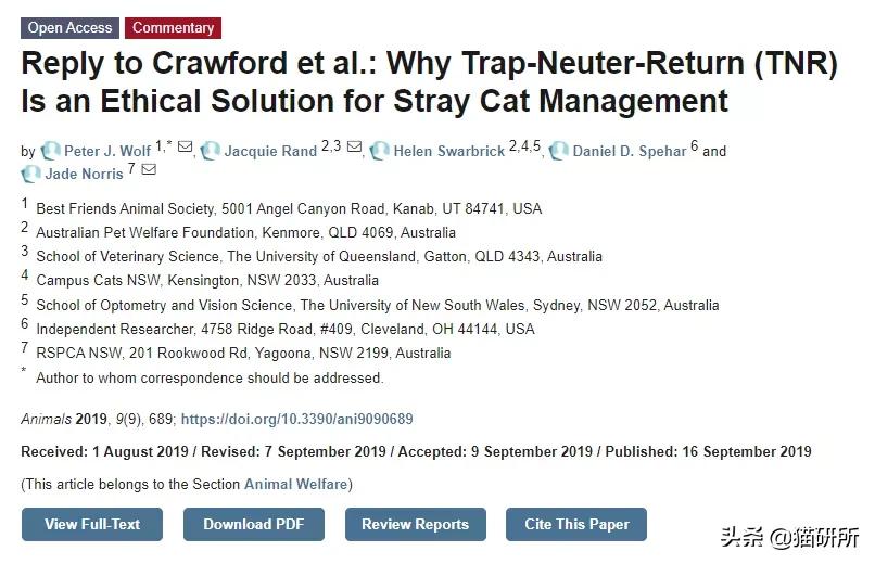 流浪猫的孩子野性也大吗,流浪猫的灵性有多可怕