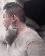 厦门警方抓了14人,嫌犯在厦门被抓