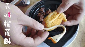 都是网红惹的祸,都是网红惹的祸完整版