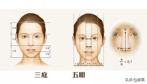 崔雪莉综艺回应恶评,崔雪莉为什么那么有人气