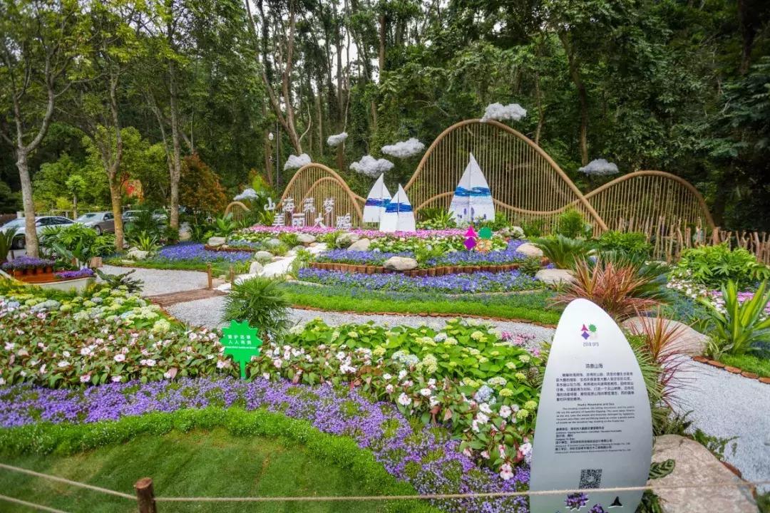 未来10天预警，深圳最最最最火的地方在这里，美女都赶来打卡