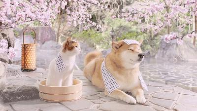 乌鲁木齐周边泡温泉的地方,乌鲁木齐附近哪里可以泡天然温泉