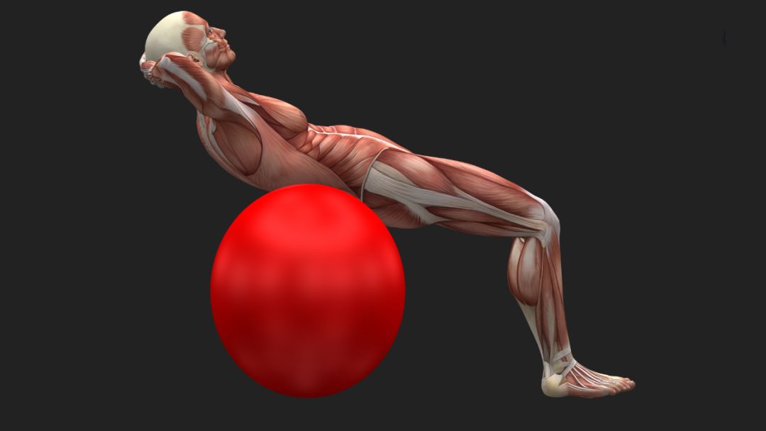 强直不锻炼,强直可以不吃药仅靠锻炼吗