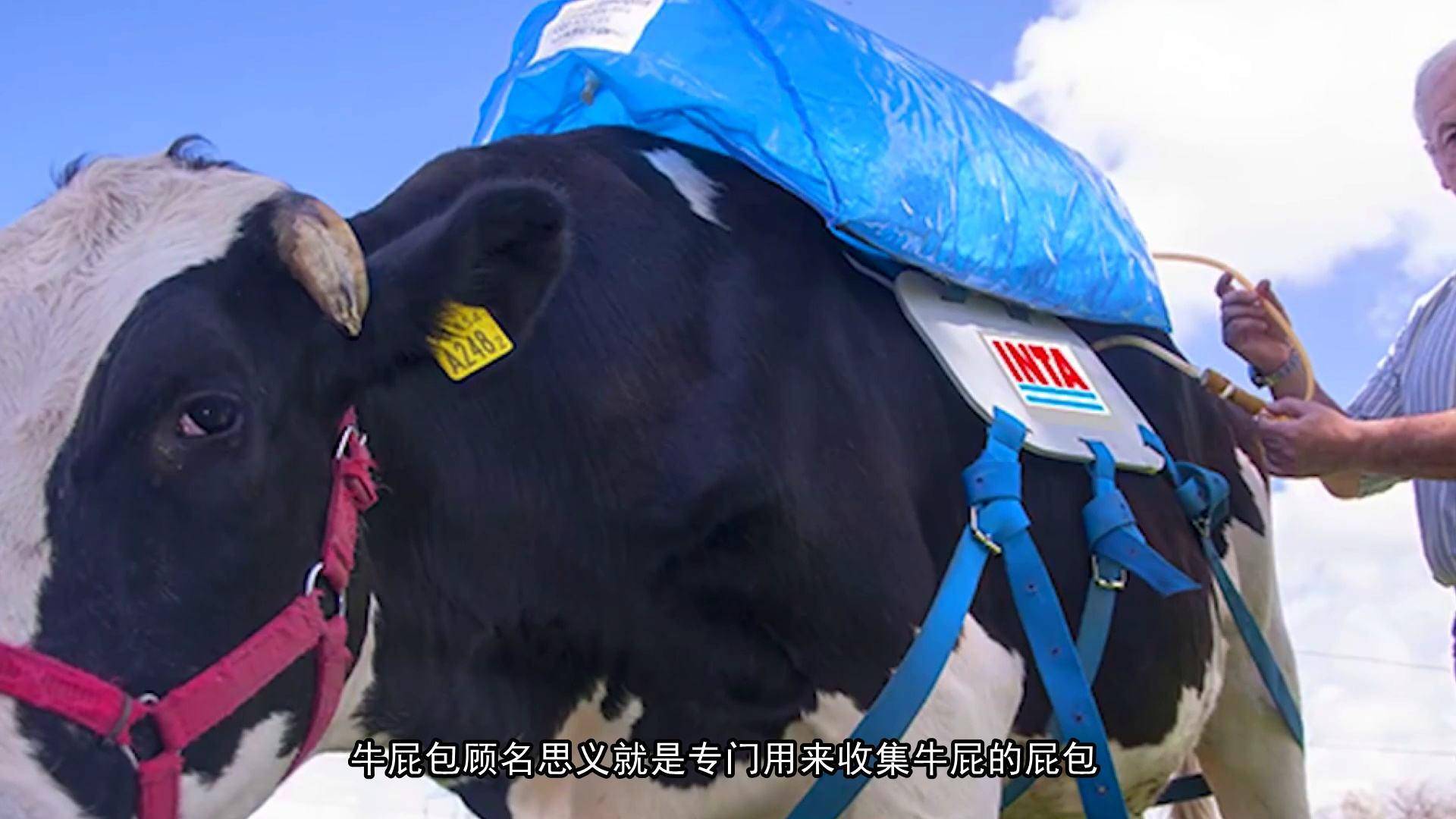 新西兰农场主交什么税,新西兰农业税