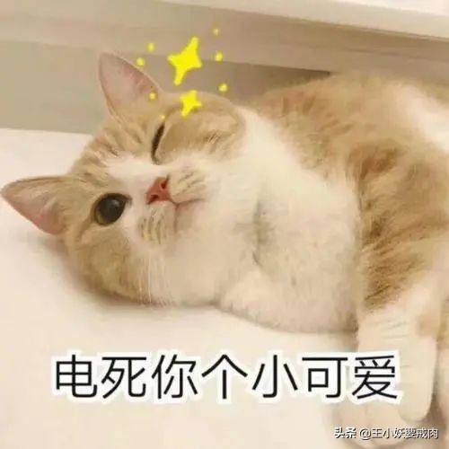 大牌散装粽子测评,各种粽子测评