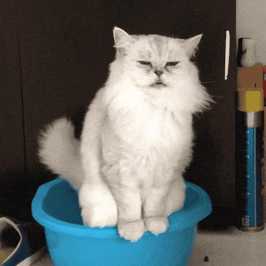 好久不拉屎什么情况,什么情况下拉屎