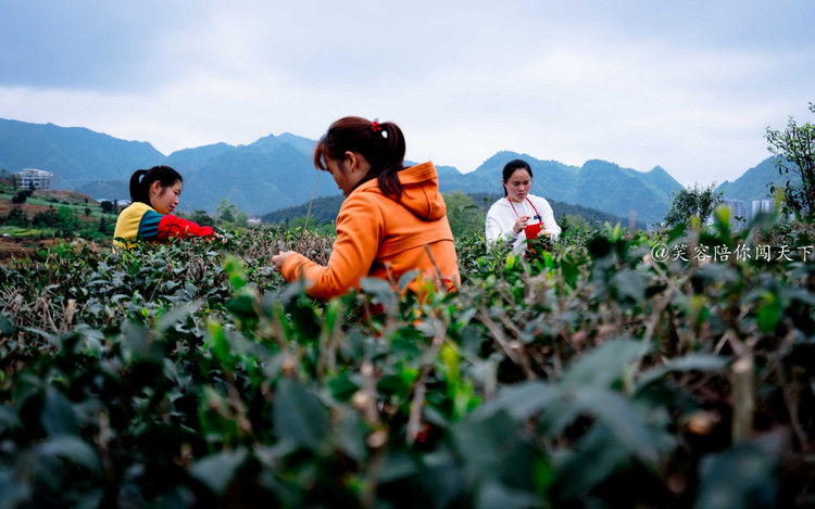 4天3晚只要800贵州攻略,4天3晚有什么好玩的地方