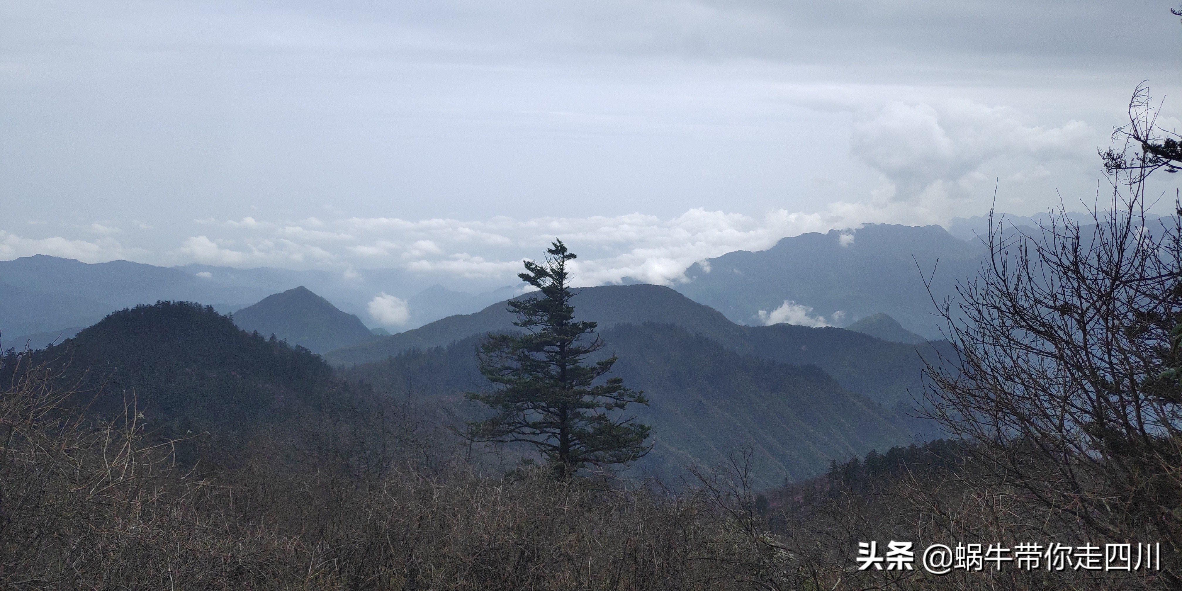 成都去西岭雪山两天一夜旅游团,成都出发雪山旅游