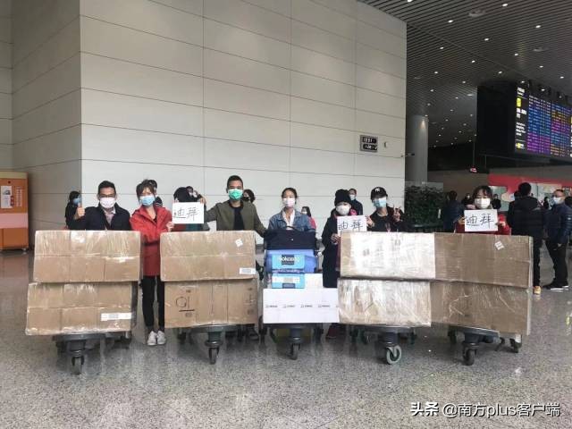 广东导游在海外挨个店买，“人肉”带回10万件紧缺物资驰援湖北