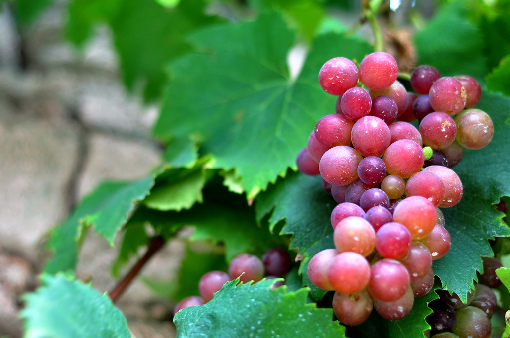 脸上严重干燥紧绷还起皮怎么办,脸上脱皮干燥紧绷刺痛如何缓解